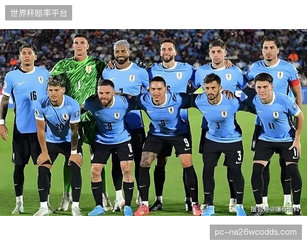 贝尔萨的战术烙印已深度融入球队，乌拉圭的比赛风格将是本届世界杯最具观赏性的球队之一。